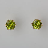 Gold Six Prong Studs